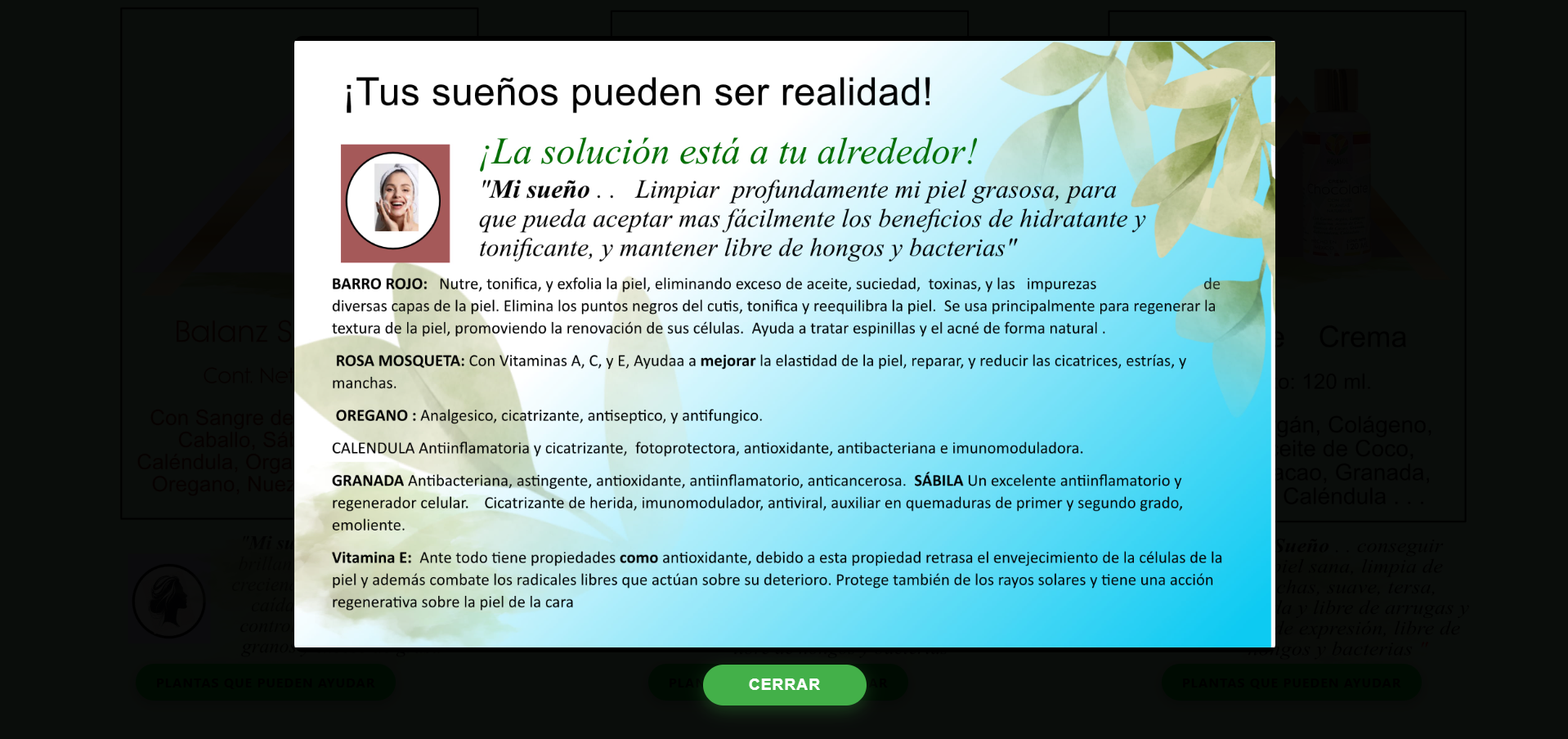 Hojasol 3